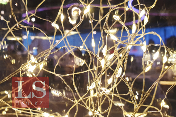 Алматыда қалдықтардан электр энергиясын өндіретін зауыт салынады