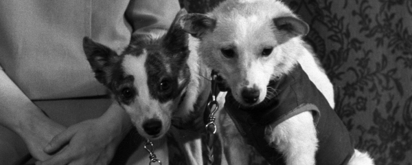 68 лет назад в космос запустили первый искусственный спутник Земли