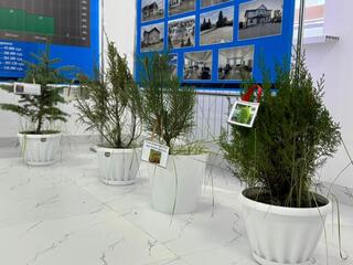 В Кегенском районе отметили День работников лесного хозяйства В Кегенском районе отметили День работников лесного хозяйства