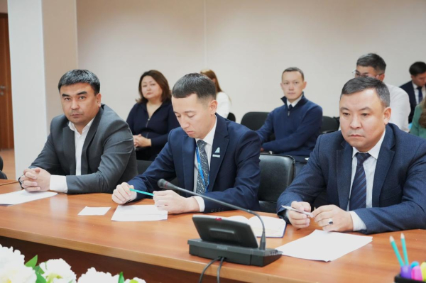 В Астане и Алматы начались проверки авиакомпаний В Астане и Алматы начались проверки авиакомпаний