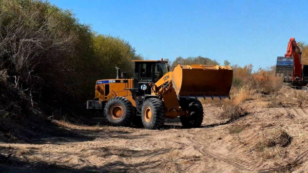 В Жамбылской области очищают водный канал протяжённостью 120 км