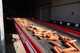 Аким области посетил предприятие «Органико» в Есильском районе Аким области посетил предприятие «Органико» в Есильском районе