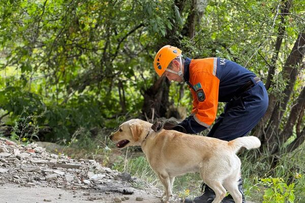 МЧС Казахстана отмечает 30-летие