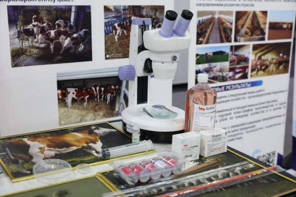 Аким Павлодарской области Асаин Байханов поздравил Торайгыров университет с 65-летием