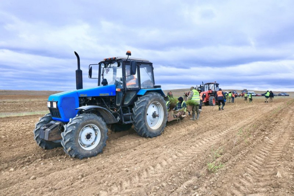 В Карагандинской области стартовала осенняя кампания по озеленению В Карагандинской области стартовала осенняя кампания по озеленению