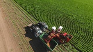 Аким области посетил предприятие «Органико» в Есильском районе Аким области посетил предприятие «Органико» в Есильском районе