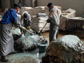 В Западно-Казахстанской области будут перерабатывать более 800 тысяч шкур в год