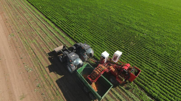 Аким области посетил предприятие «Органико» в Есильском районе Аким области посетил предприятие «Органико» в Есильском районе