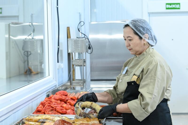 В Кызылорде открылась малая промышленная зона «Тұмар»