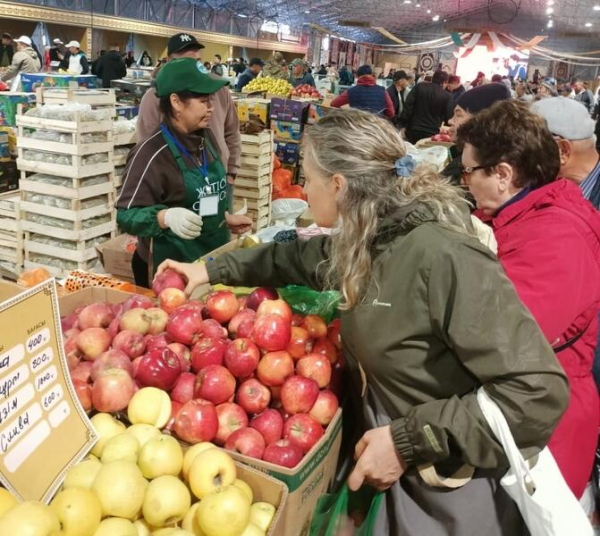 В городе Талдыкорган пройдет ярмарка сельхозпроизводителей Жетісу В городе Талдыкорган пройдет ярмарка сельхозпроизводителей Жетісу