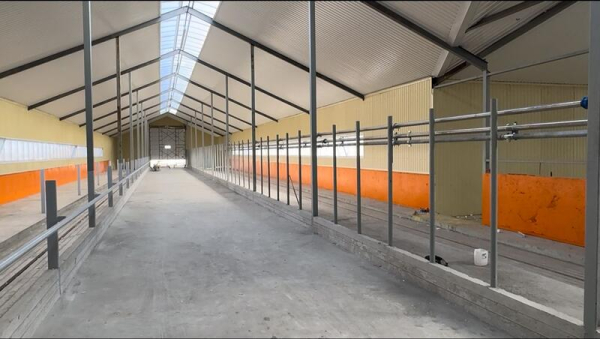 В Зерендинском районе завершается строительство новой молочной фермы В Зерендинском районе завершается строительство новой молочной фермы