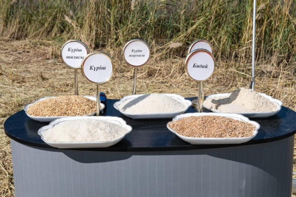 Инвестиции, наука и агротехнологии становятся драйверами роста сельского хозяйства Инвестиции, наука и агротехнологии становятся драйверами роста сельского хозяйства