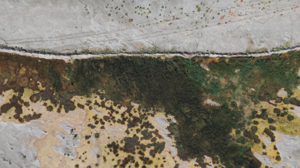 Улучшение экосистемы дна Арала: в Казахстане запускается проект мирового значения
 
Улучшение экосистемы дна Арала: в Казахстане запускается проект мирового значения