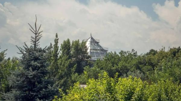 Ботанический сад Алматы переводят на зимний график работы