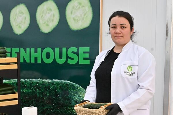 Казахстан занял первое место по объему экспортируемых товаров из Курганской области Казахстан занял первое место по объему экспортируемых товаров из Курганской области