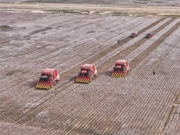 Фестиваль «AQ-DALA» объединил фермеров, переработчиков и аграриев Казахстана