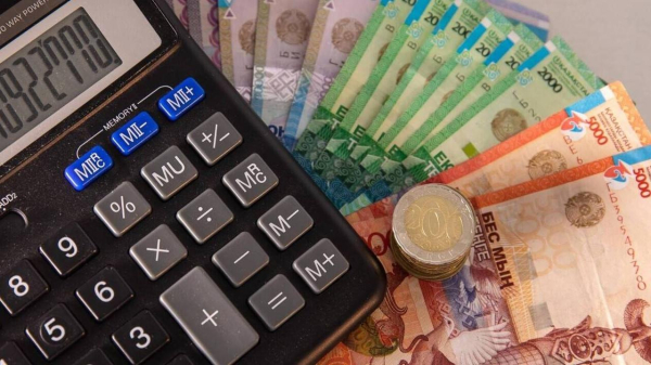 Почти 100 млрд  направлено на поддержку безработных из ГФСС