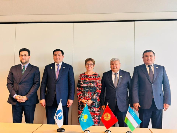 Казахстан и Евросоюз укрепляют сотрудничество в области «зеленой» энергетики