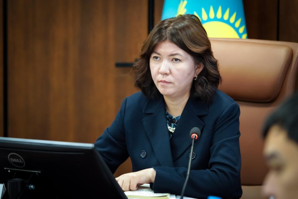 Государство и НПО объединяют усилия для защиты прав и интересов детей в Казахстане