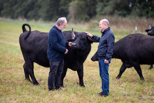 Гол с "закрытыми" глазами и удивлённый морж: забавные новости в фотографиях со всего мира