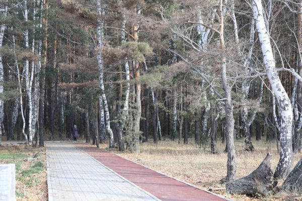 В Макинске завершается благоустройство городского парка
