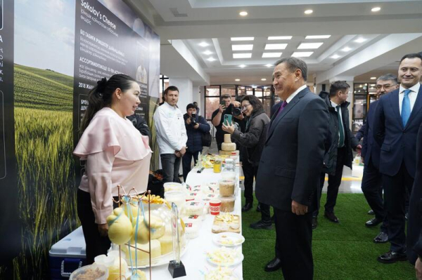 Рекордный урожай и громкое признание: в Акмолинской области наградили лучших аграриев