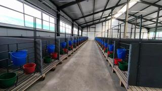 В Костанайской области запустили молочно-товарную ферму на 1200 голов