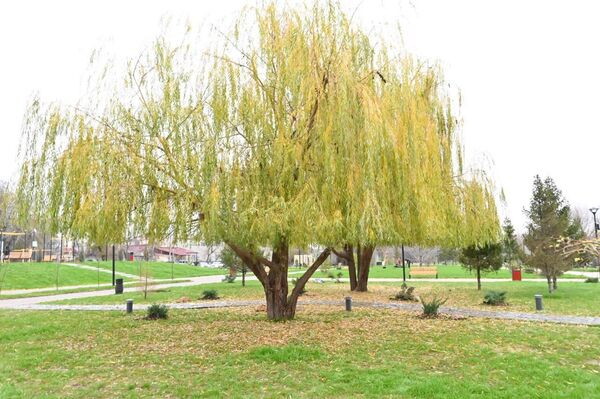 Жизнь на берегу Урала: новое дыхание старого Уральска - фоторепортаж