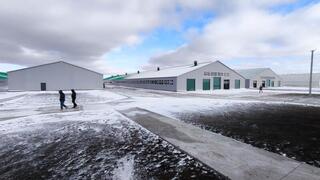 В Костанайской области запустили молочно-товарную ферму на 1200 голов