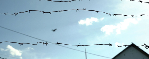 Стрельба произошла в одной из колоний Усть-Каменогорска Стрельба произошла в одной из колоний Усть-Каменогорска