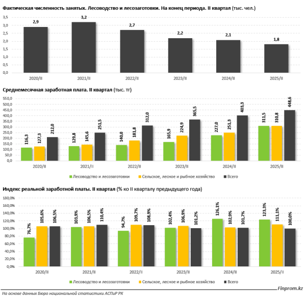Казахстан ускоряет озеленение: инвестиции в лесное хозяйство выросли в восемь раз