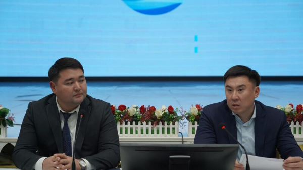 В селе Красный Яр состоялась отчетная встреча акима города Кокшетау с жителями.