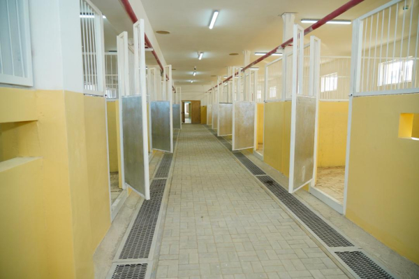 В Туркестане строят современный ипподром международного уровня