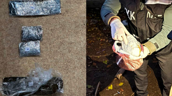 КНБ усилил борьбу с наркотрафиком: изъято 622 кг запрещённых веществ