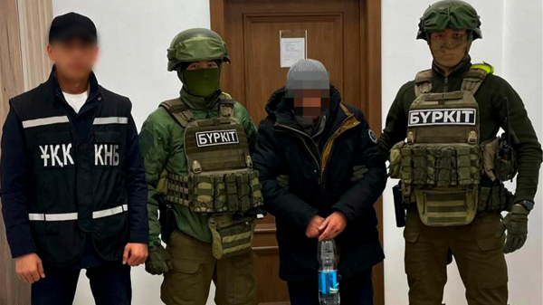 КНБ усилил борьбу с наркотрафиком: изъято 622 кг запрещённых веществ