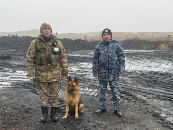 Сверток среди угля: как гвардеец сорвал попытку проноса 8 телефонов в УИС