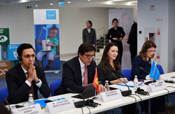 Человеческий капитал станет ключом к росту экономики Казахстана - ЮНИСЕФ Человеческий капитал станет ключом к росту экономики Казахстана - ЮНИСЕФ