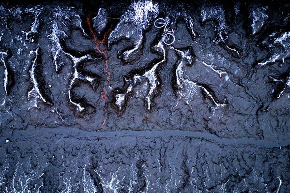 "Время присмотреться": эти фото из мира дикой природы не оставят вас равнодушными! "Время присмотреться": эти фото из мира дикой природы не оставят вас равнодушными!