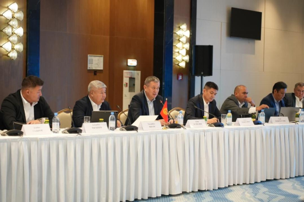 Страны Центральной Азии договорились о взаимных поставках электроэнергии и поддержке в зимний период