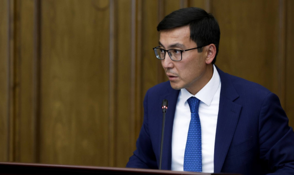 41 компания с убытком и 23 бездействующие: ВАП указала на проблемы в структуре «Самрук-Қазына»