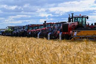 Сельхозпродукцию на 1 триллион тенге произвели в Акмолинской области