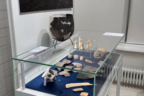 Северо-Казахстанская область будет поставлять продукцию в Татарстан Северо-Казахстанская область будет поставлять продукцию в Татарстан