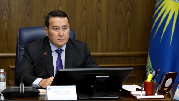 41 компания с убытком и 23 бездействующие: ВАП указала на проблемы в структуре «Самрук-Қазына»