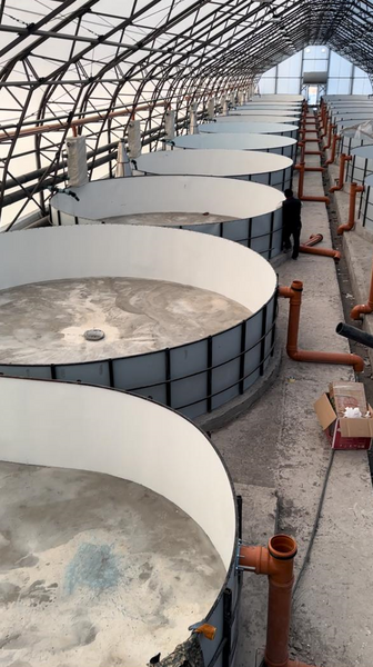 В Восточно-Казахстанской области построят рыбоводческий комплекс стоимостью 348 млн тенге