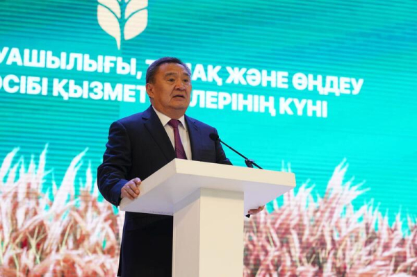 Рекордный урожай и громкое признание: в Акмолинской области наградили лучших аграриев