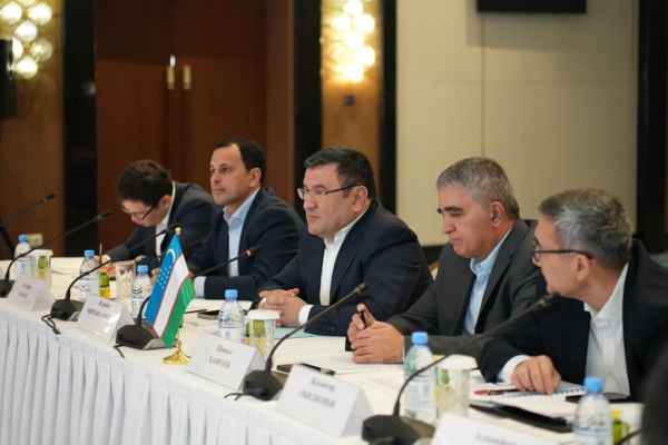 Страны Центральной Азии договорились о взаимных поставках электроэнергии и поддержке в зимний период