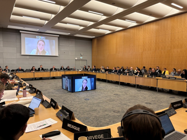 На площадке ОЭСР Казахстан подтвердил курс на глубокое обновление культуры госуправления На площадке ОЭСР Казахстан подтвердил курс на глубокое обновление культуры госуправления