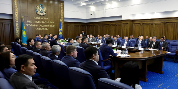 41 компания с убытком и 23 бездействующие: ВАП указала на проблемы в структуре «Самрук-Қазына»