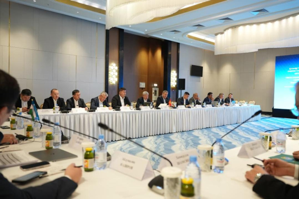 Страны Центральной Азии договорились о взаимных поставках электроэнергии и поддержке в зимний период