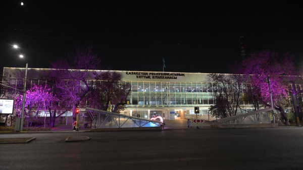 В Алматы модернизируют систему уличного и декоративного освещения